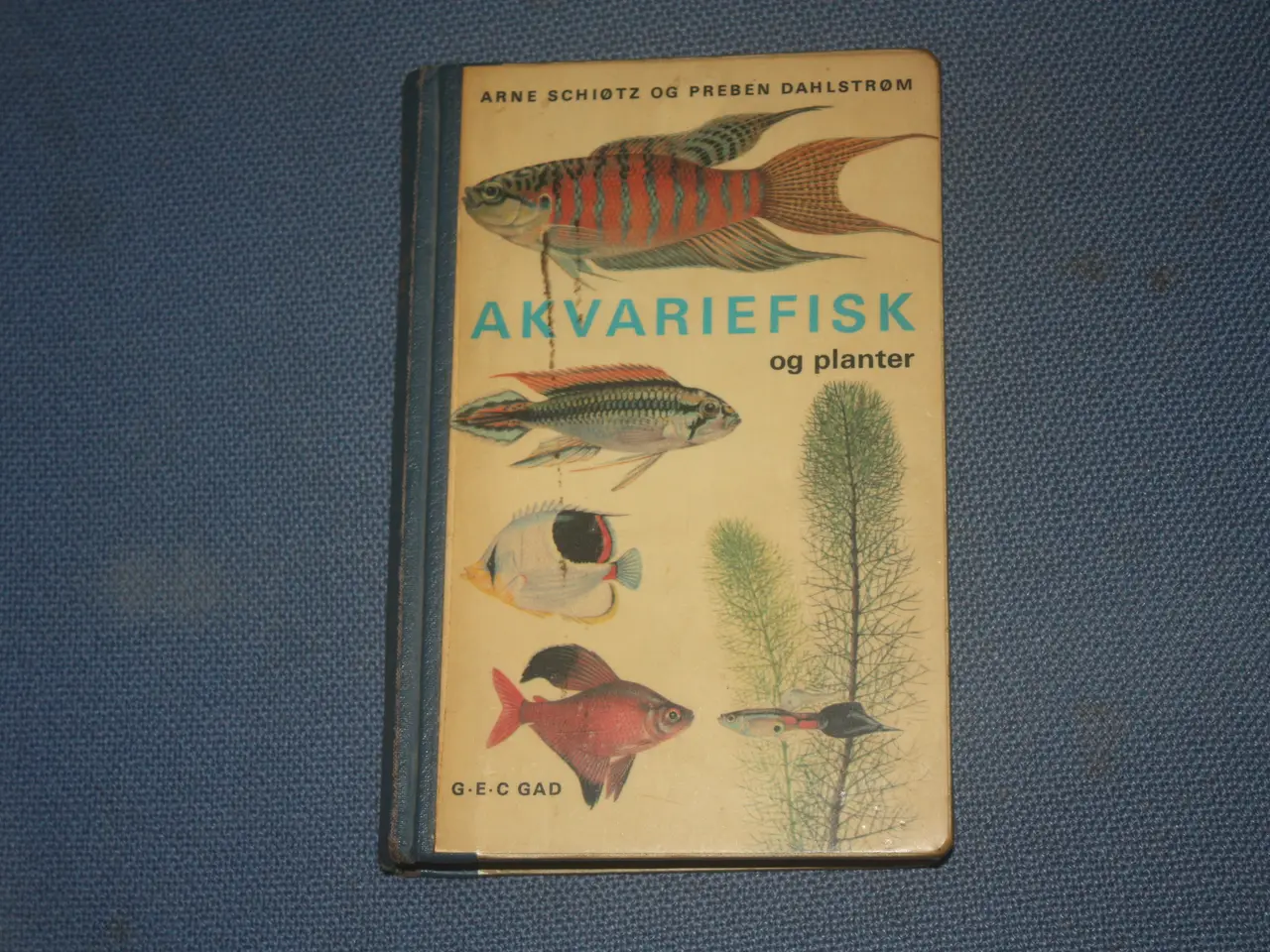 Billede 1 - Akvariefisk og planter af Arne Schiøtz