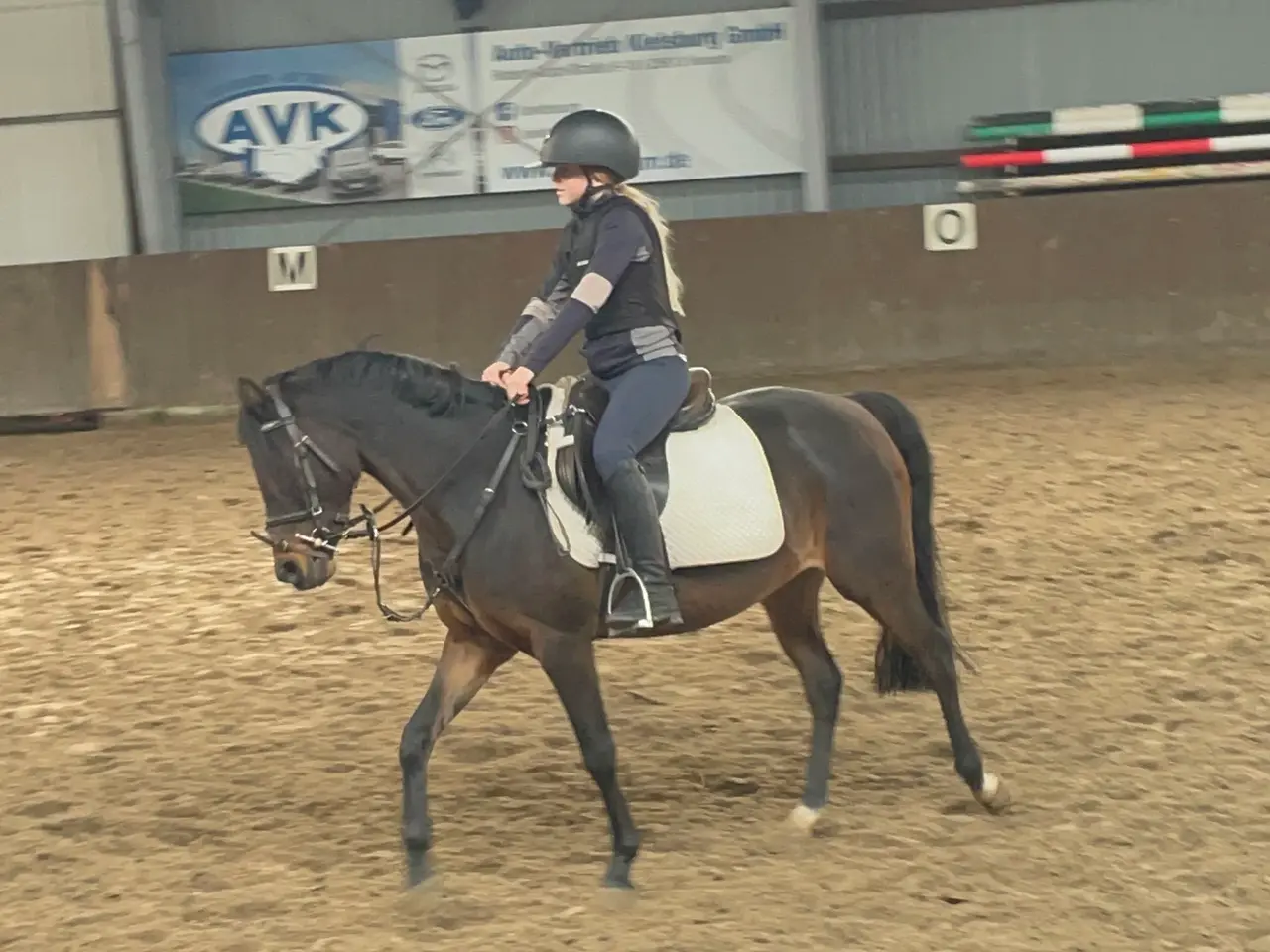 Billede 5 - Smuk welsh C hoppe