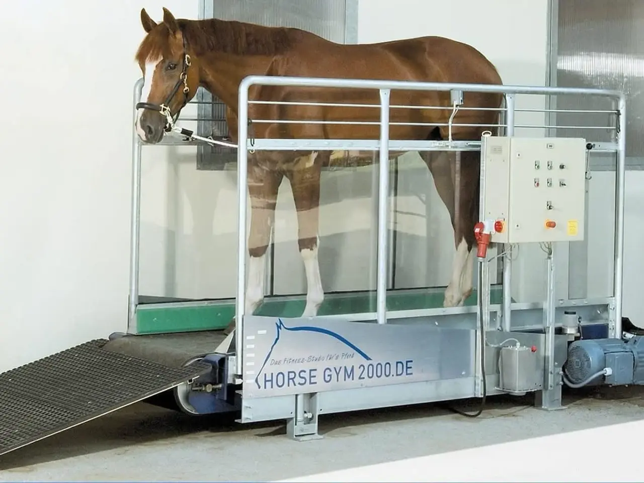 Billede 5 - Horsegym 2000 skridtbånd