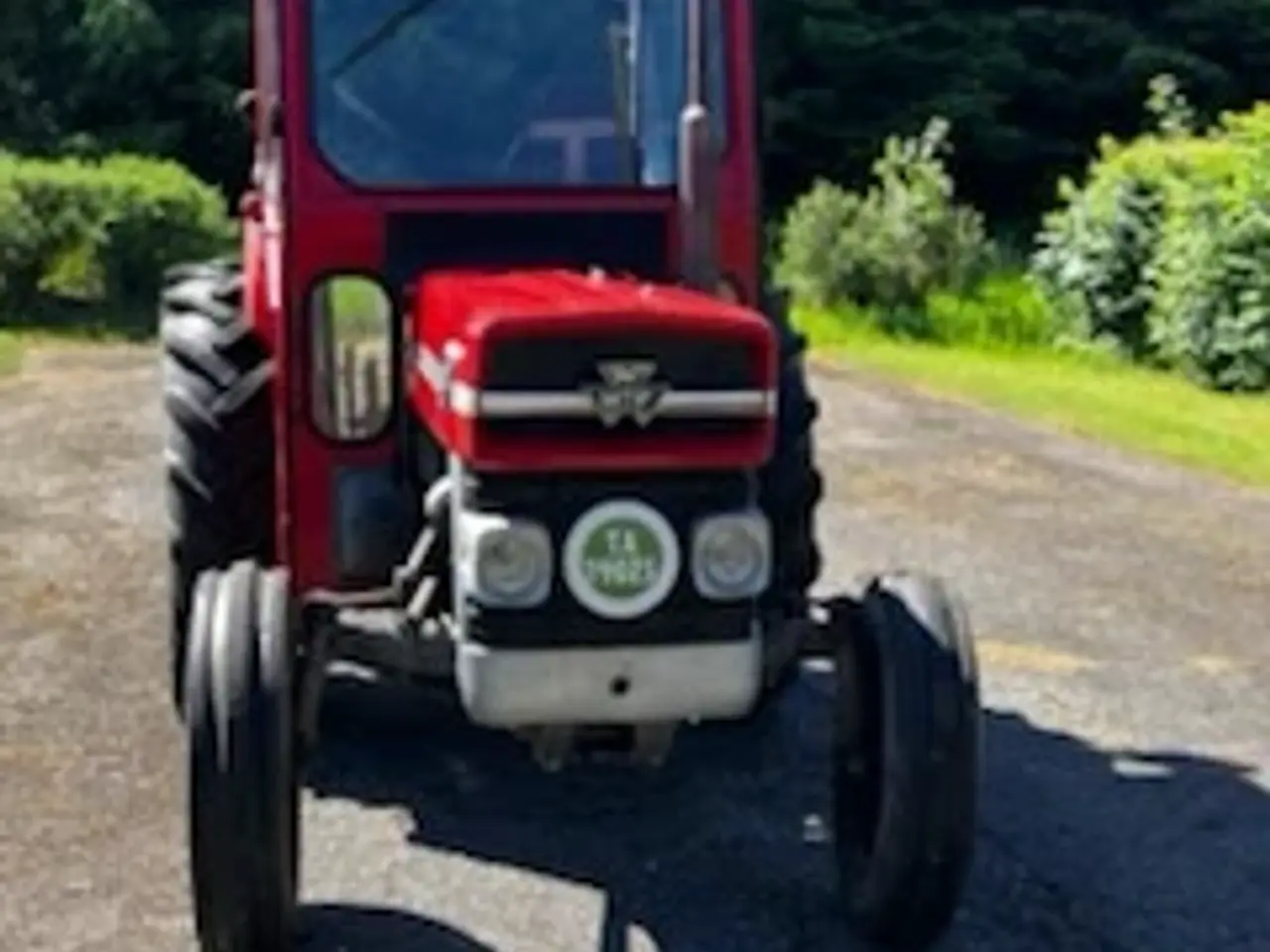Billede 4 - Mf 135 fin stand med original nummer plader