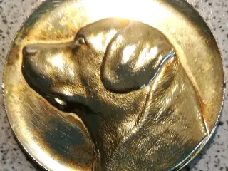 Hunde medaljer.