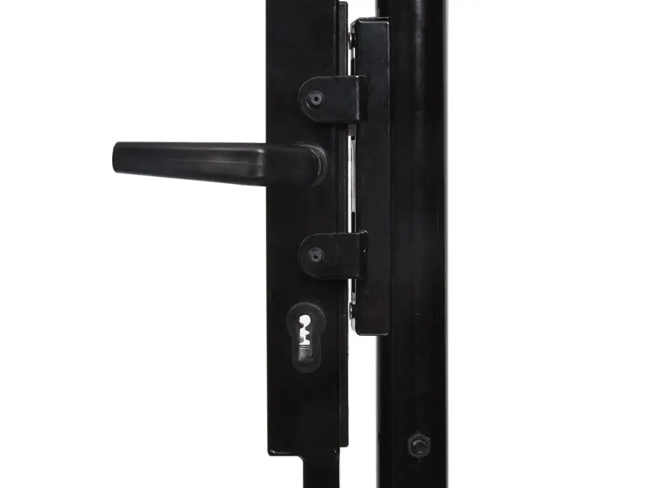 Billede 4 - Hegnslåge med dobbeltdør og spydtop - Woerden 299,5 × 174,5 cm, sort