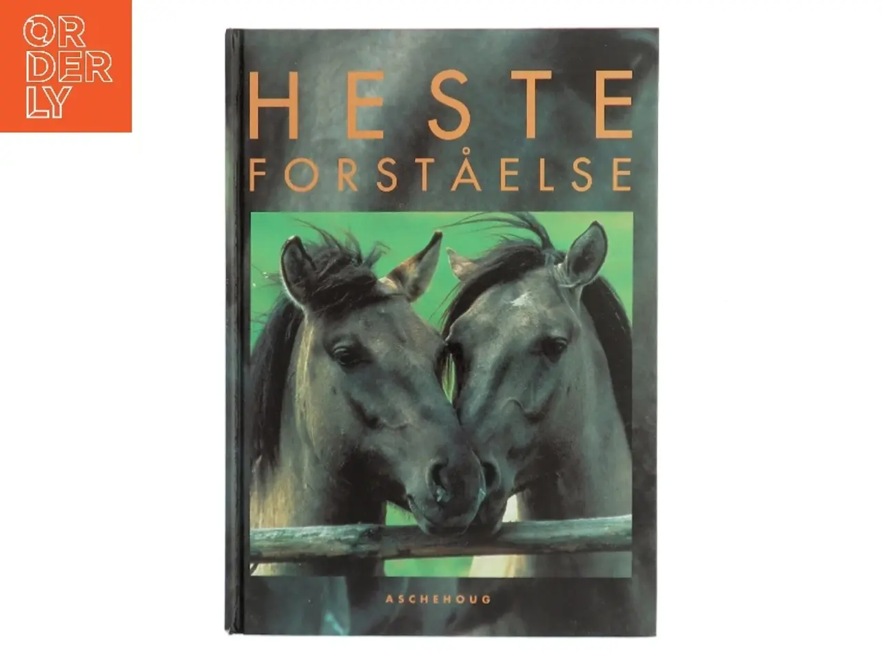Billede 1 - Hesteforståelse (Bog)