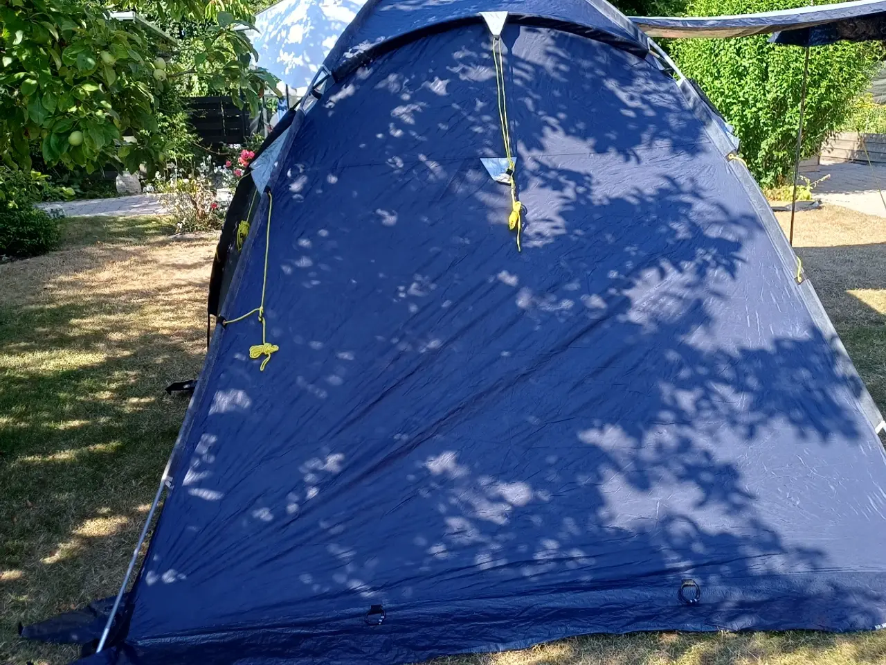 Billede 3 - Festivslstelt Shamp 6 pers 2 kab.