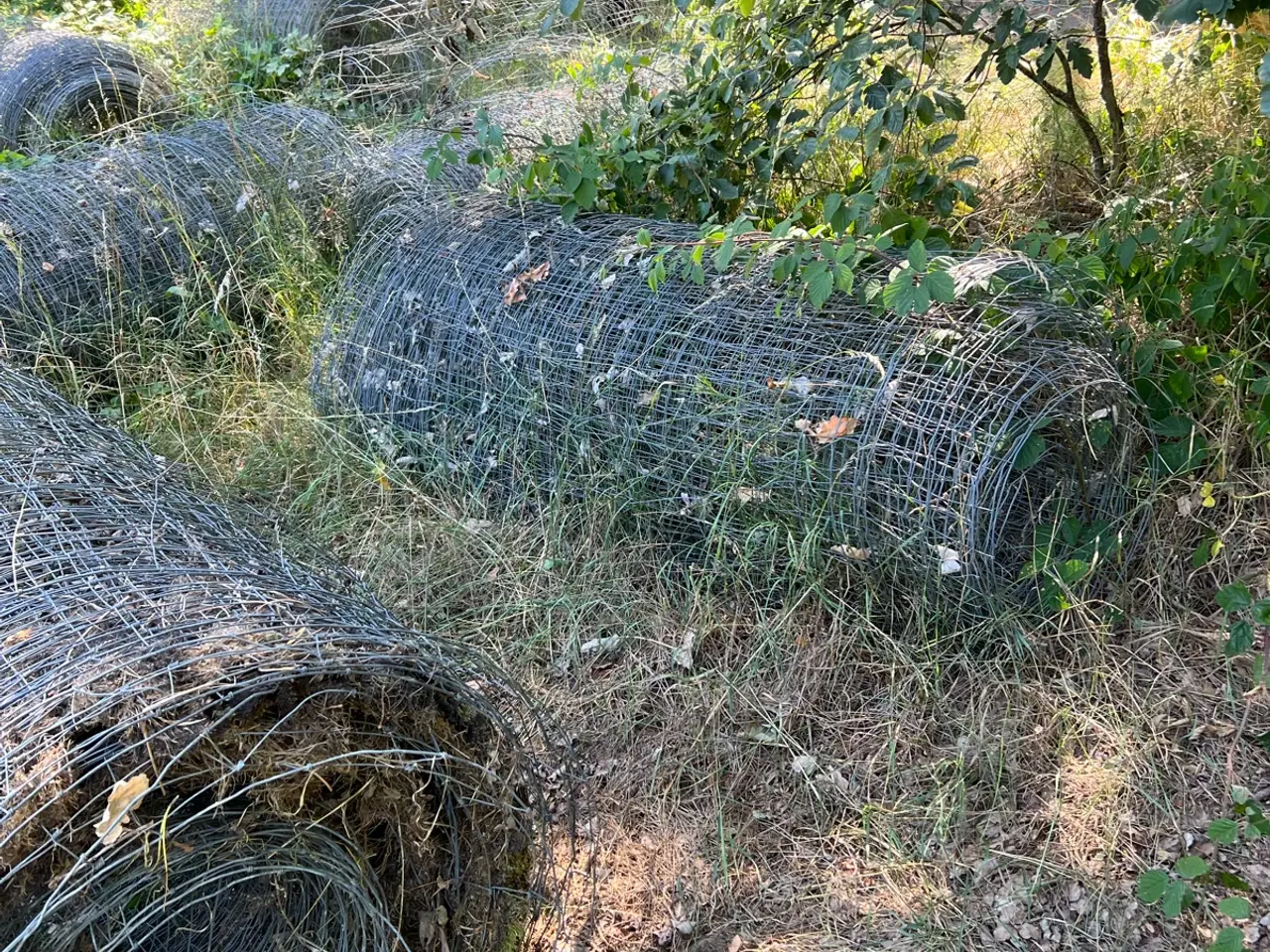 Billede 3 - Vildthegn 160 cm