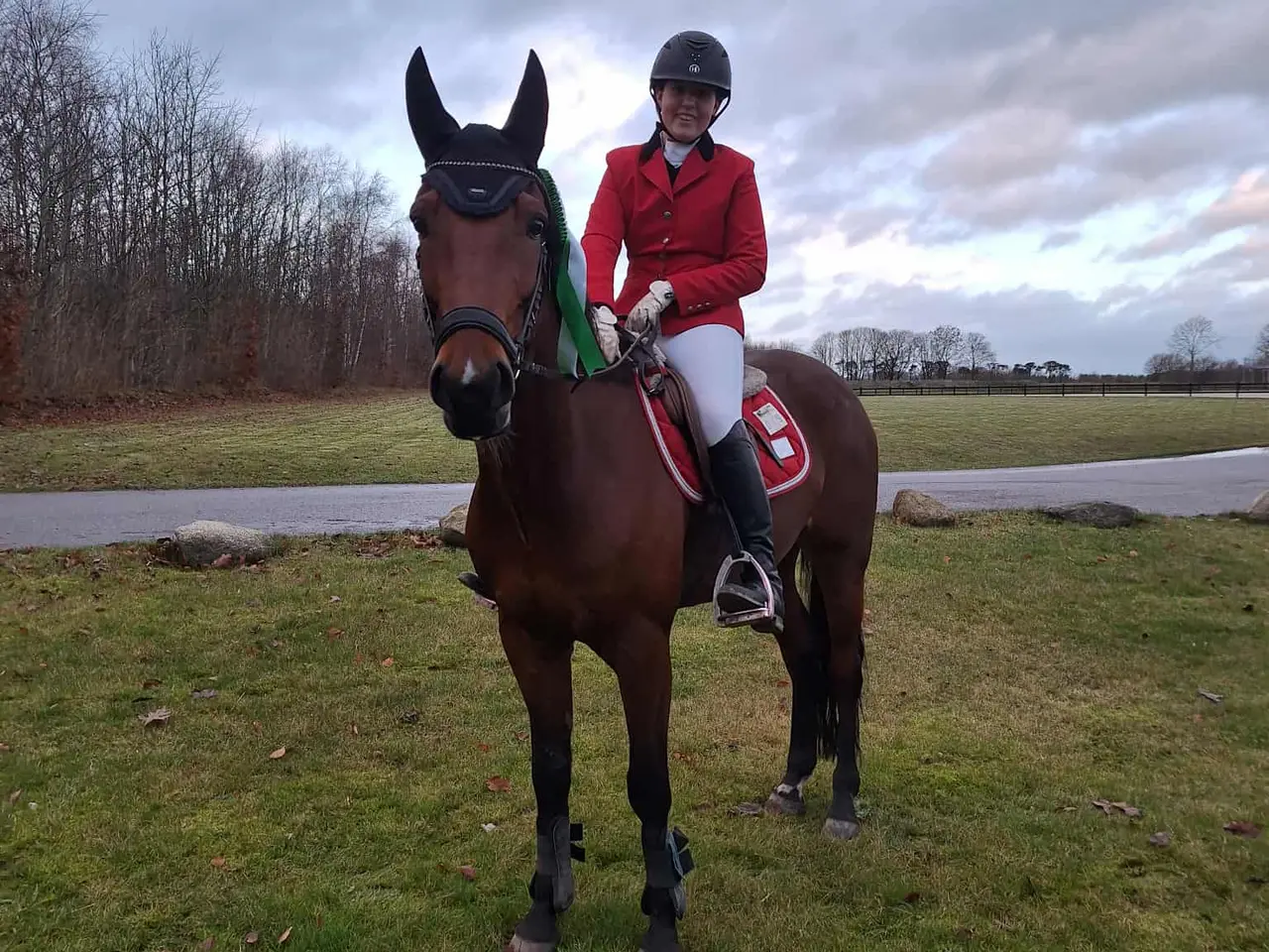 Billede 1 - Allround/Springhest til Salg
