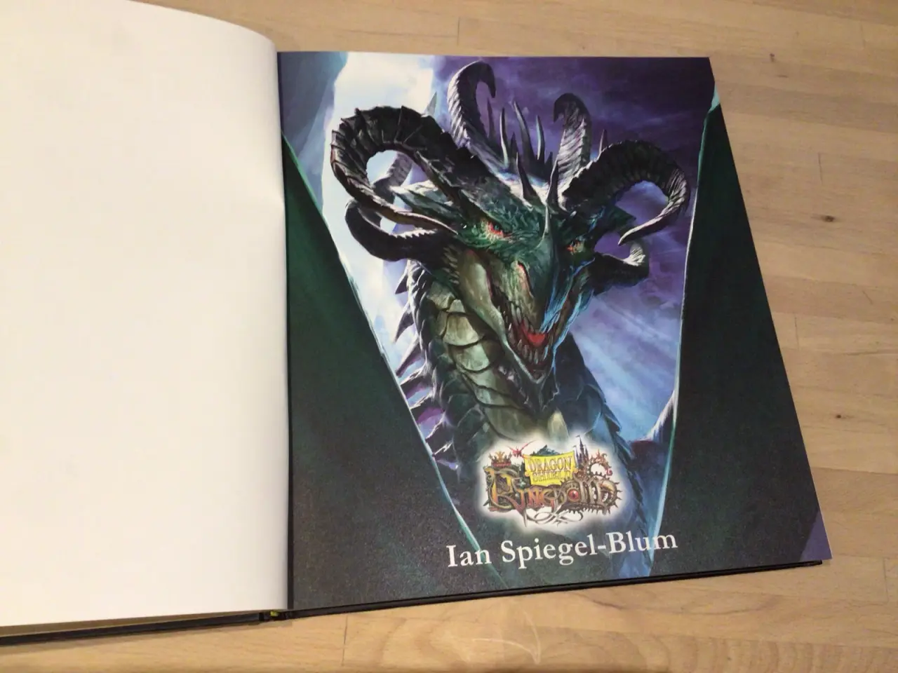 Billede 3 - Dragon Shield