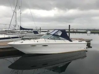 klassisk Sea Ray 25c