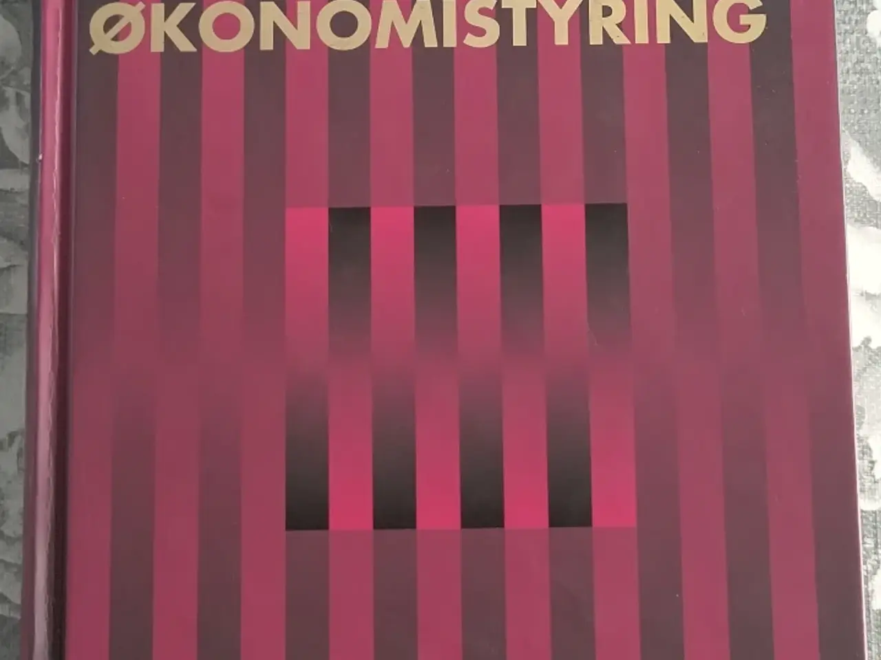 Billede 1 - Håndbog i ØKONOMISTYRING