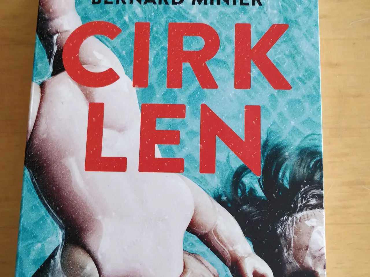 Billede 1 - Cirklen