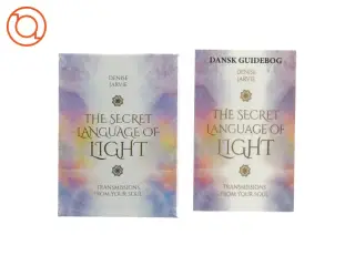 The secret land bridge of light