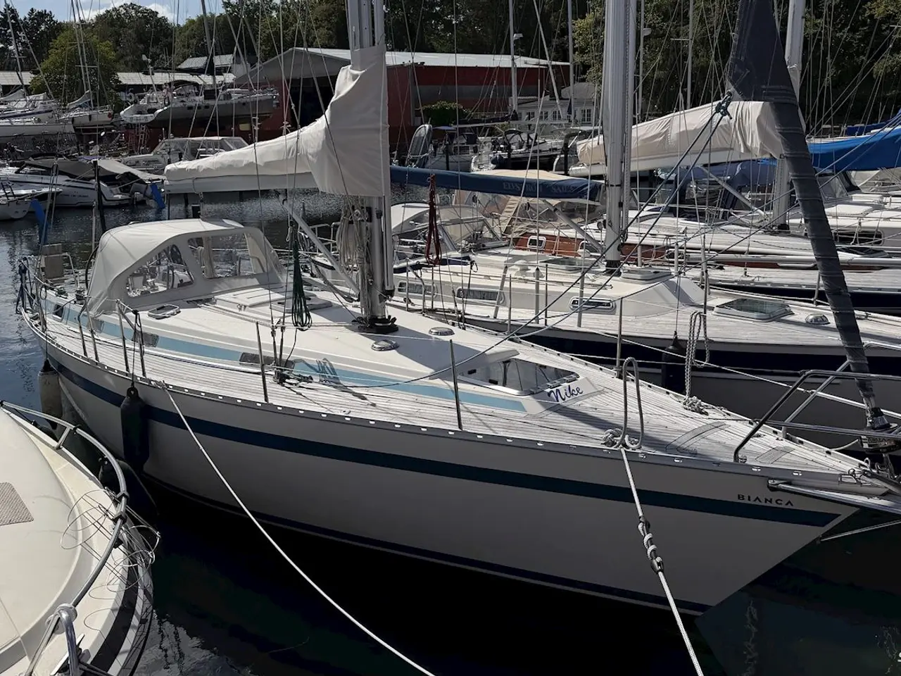 Billede 2 - Bianca 107