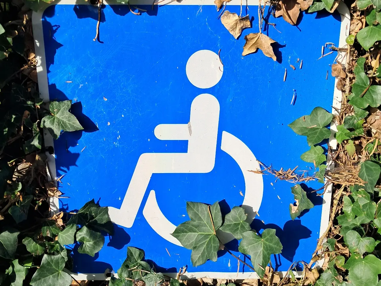 Billede 2 - Handicappakering skilt.