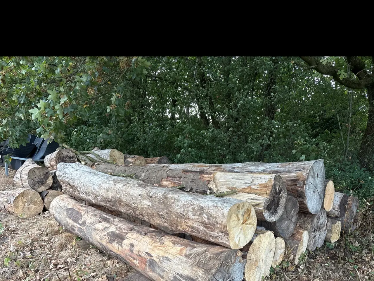 Billede 3 - Brænde klar til brug