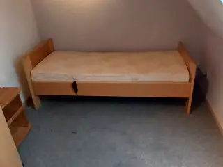 Elevationsseng