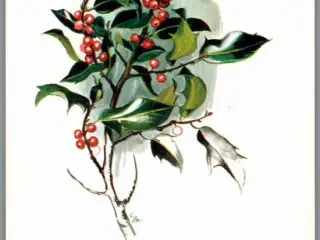 Illa - Glædelig Jul - 151 Doo 301 - Postkort - Brugt