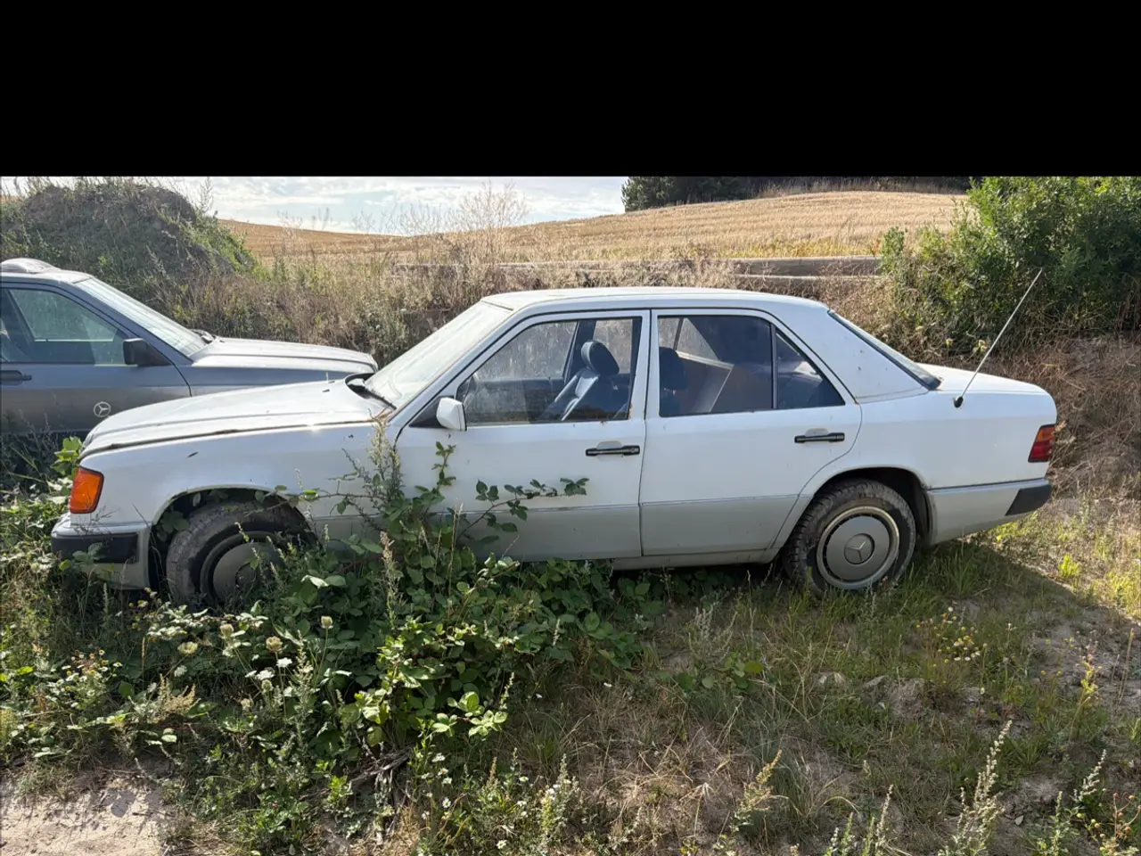 Billede 1 - Mercedes 124 200E