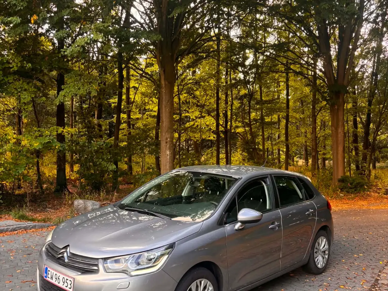 Billede 4 - Citroen c4