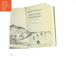 Grøn var min barndoms dal af Richard Llewellyn (Bog)