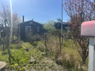 Kolonihave i Trappehaverne HF. Svendborg