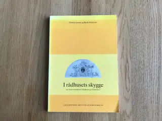 I Rådhusets skygge (Aalborg lokalhistorie)