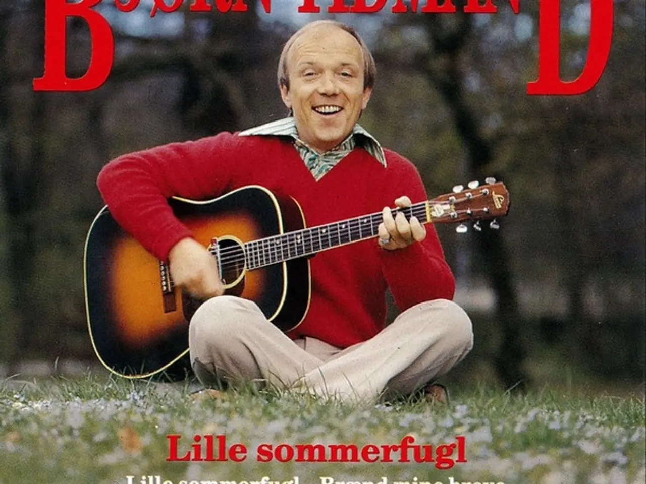 Billede 1 - Bjørn Tidmand – Lille Sommerfugl – CD