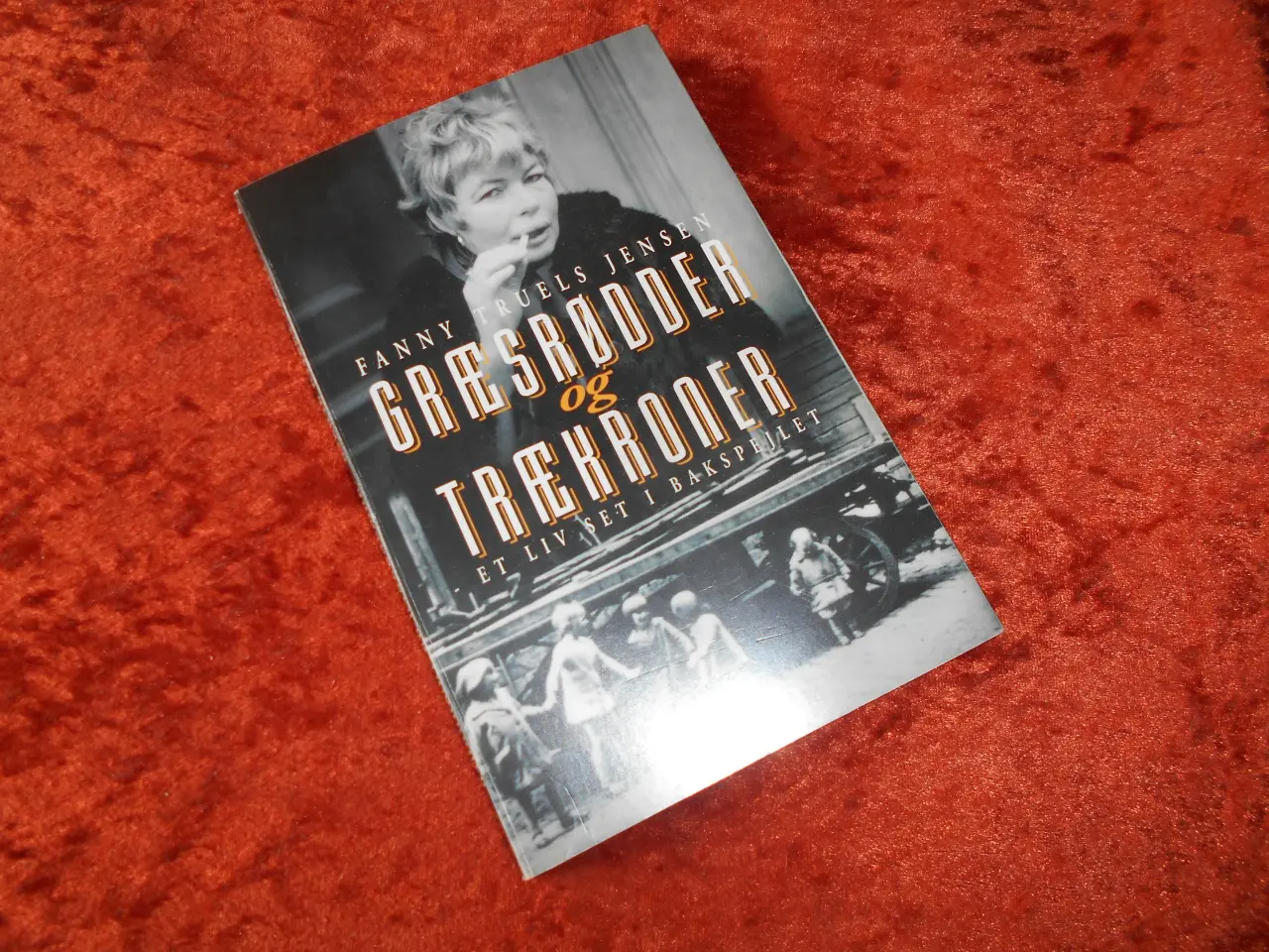 Billede 1 - Græsrødder og trækroner, Fanny Truels Jensen,