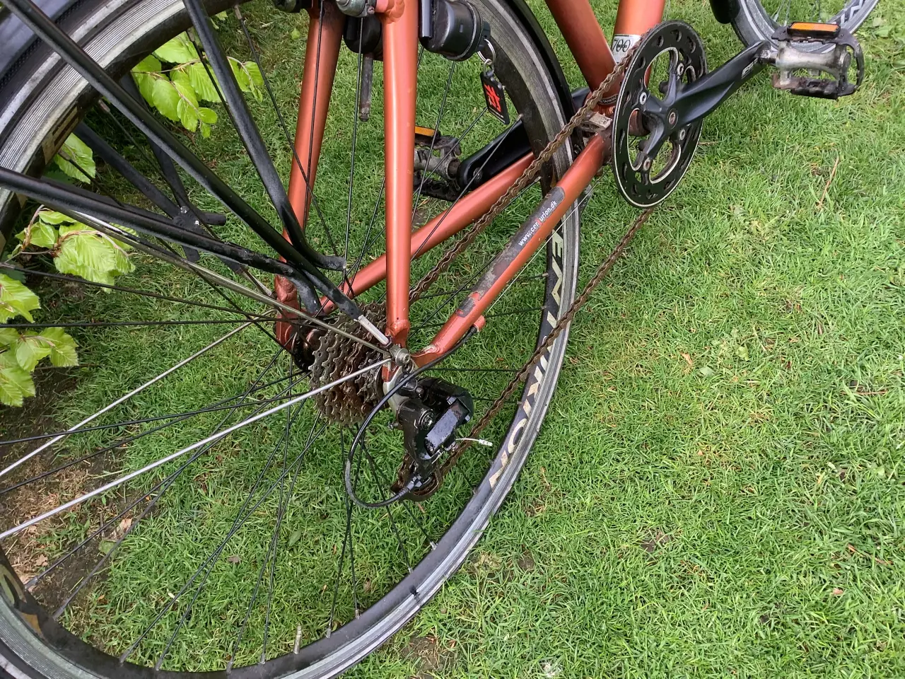 Billede 6 - Centurion pige/ damecykel 8 gear