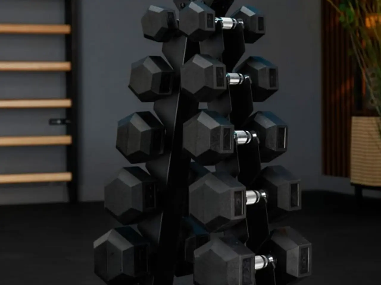Billede 5 - Hex-håndvægte 2,5 kg–12,5 kg inkl stativ