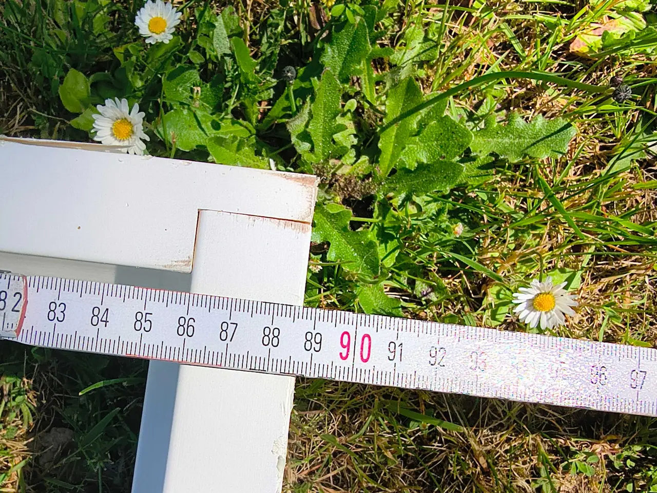 Billede 4 - Indføres Sweddor.