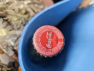 250ml Coca Cola flaske