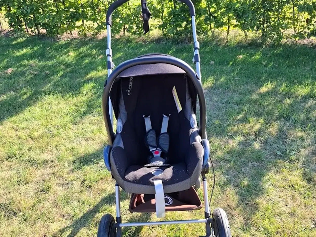 Billede 1 - Kombivogn Bugaboo Cameleon