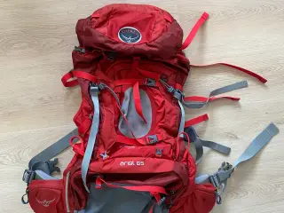 Osprey Ariel 65 liter - Dame - Rød