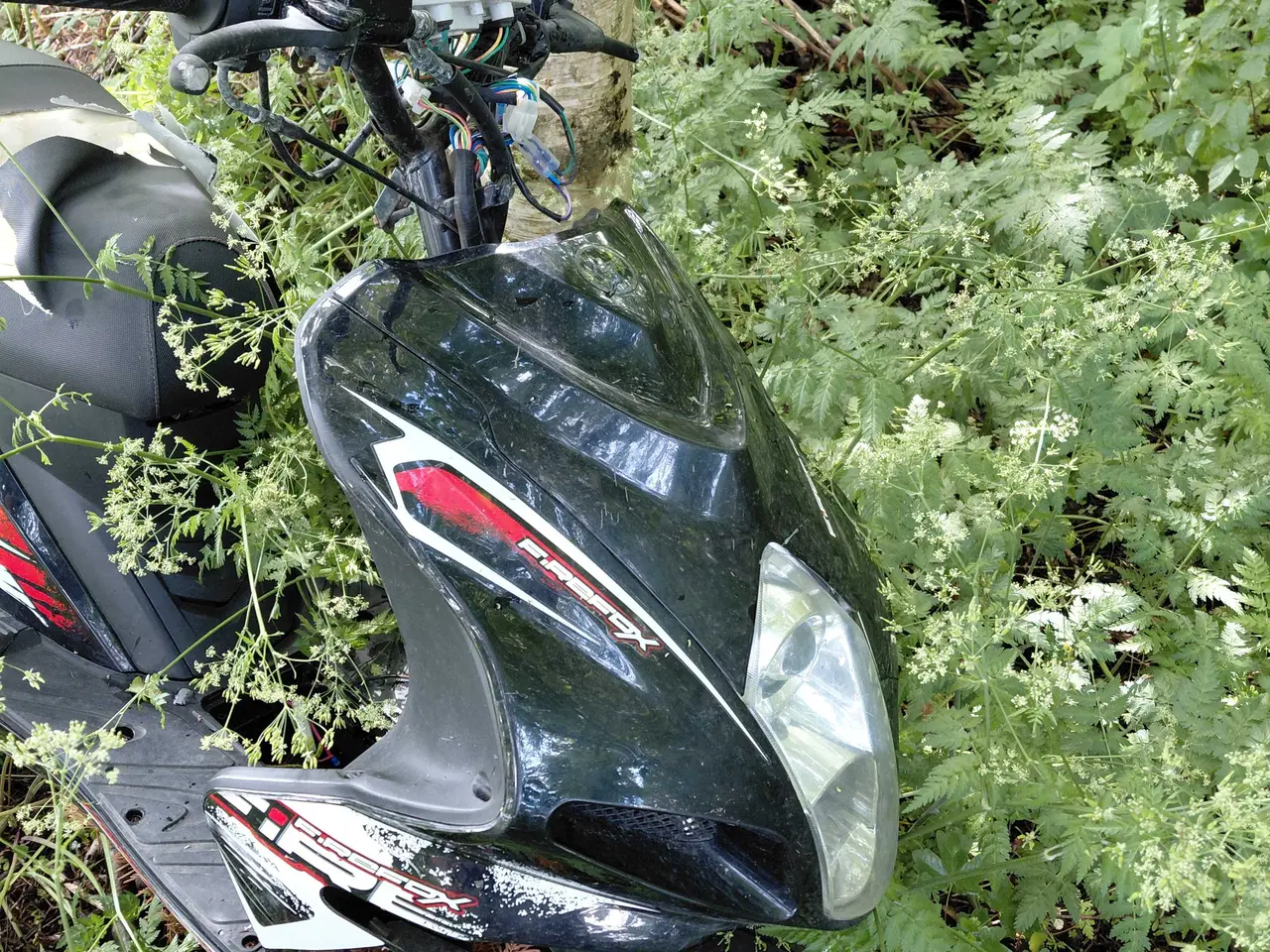 Billede 5 - Scooter,VGA,projekt