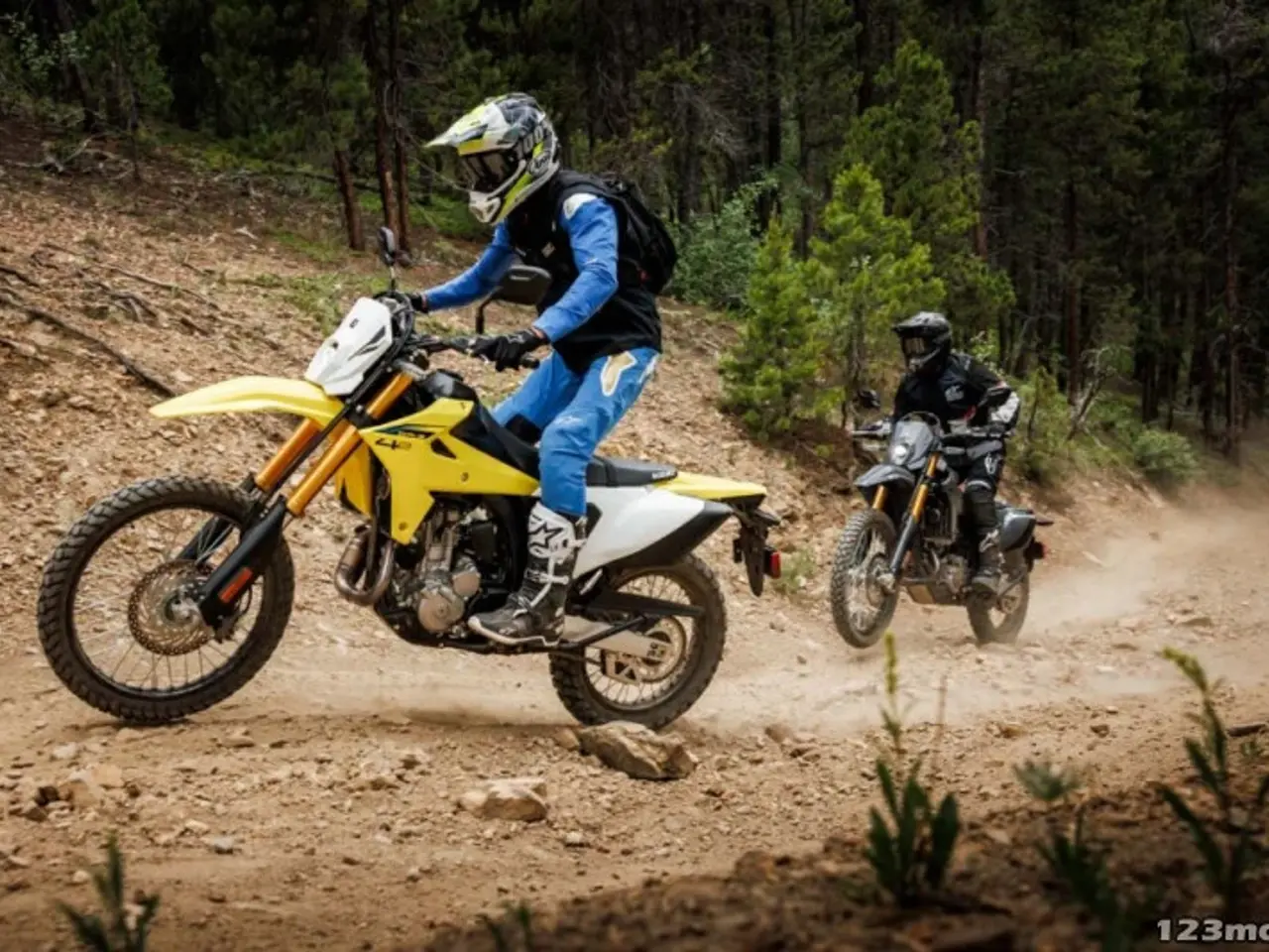 Billede 11 - Suzuki DR-Z4S