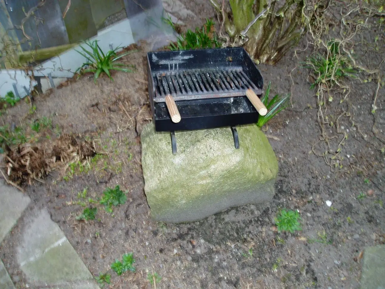 Billede 1 - 2 prs. grill.