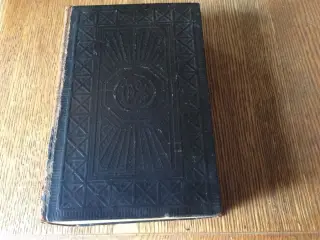 Læderindbunden bibel