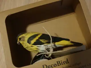 Wildlife decobird siskin
