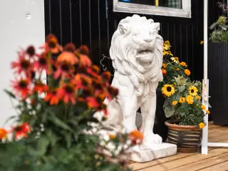 Store Løver til haven, indgangen eller lignende