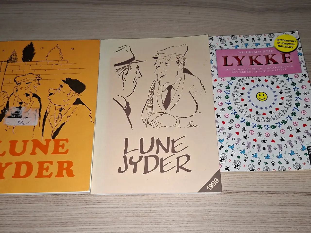 Billede 7 - Kokser kroppen-kig på kosten