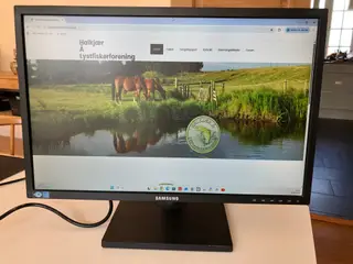 Samsung 22" skærm, model LS22C46K
