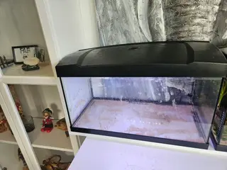 Akvarium 