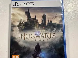 Hogwarts legacy