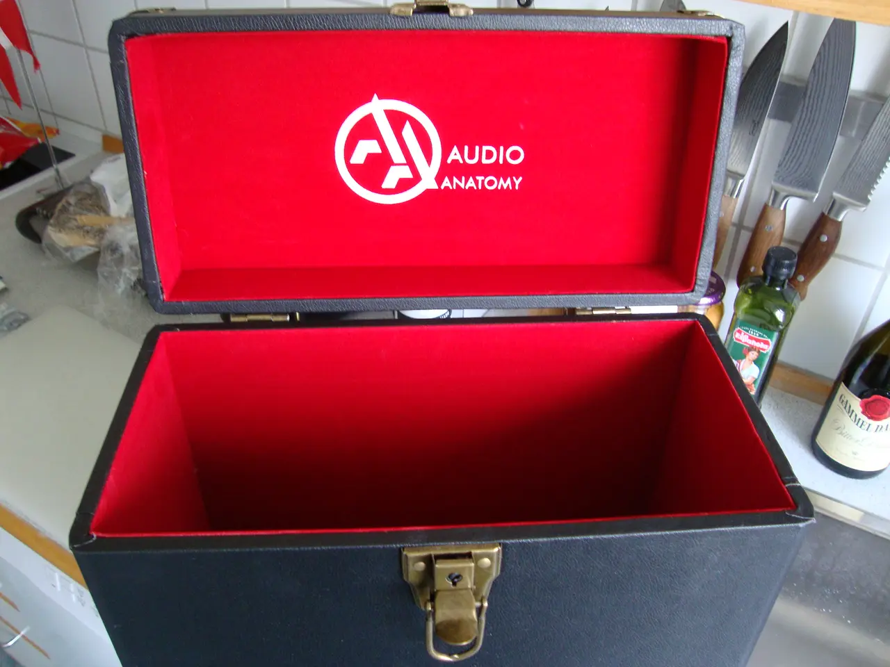 Billede 1 - Audio Anatomy record transport box.
