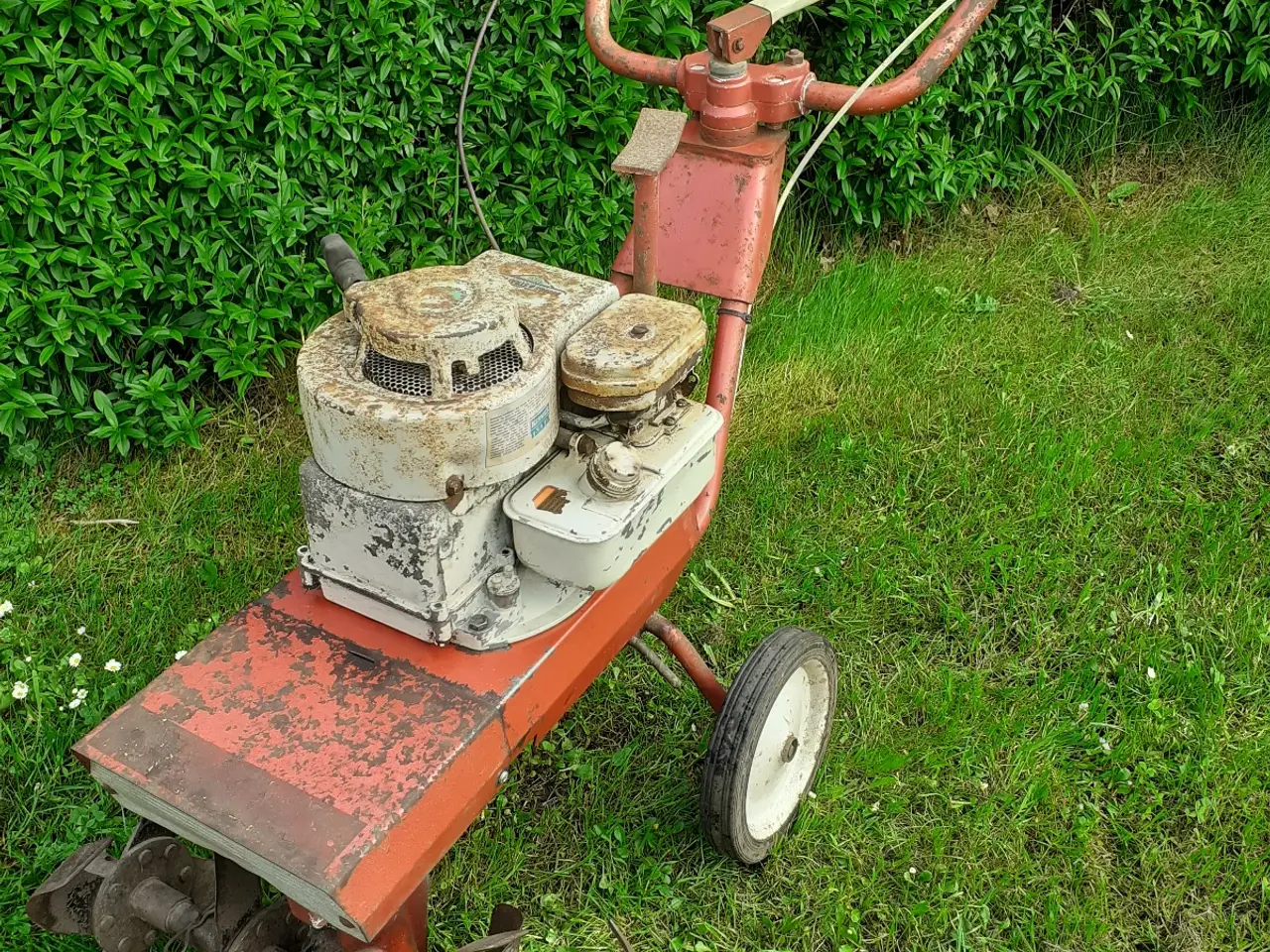 Billede 2 - Mountfield M1 Reto havefræser