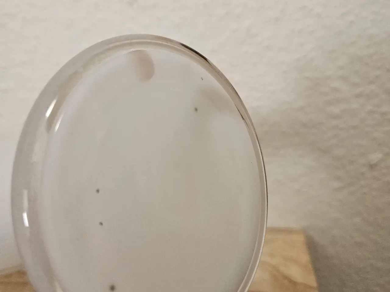 Billede 6 - Holmegaard vase 