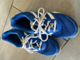 Adidas sportssko