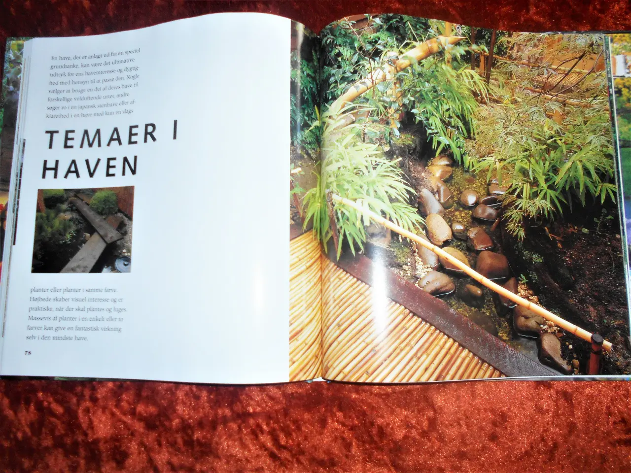 Billede 3 - Nye ideer til haven, Elizabeth Keevill
