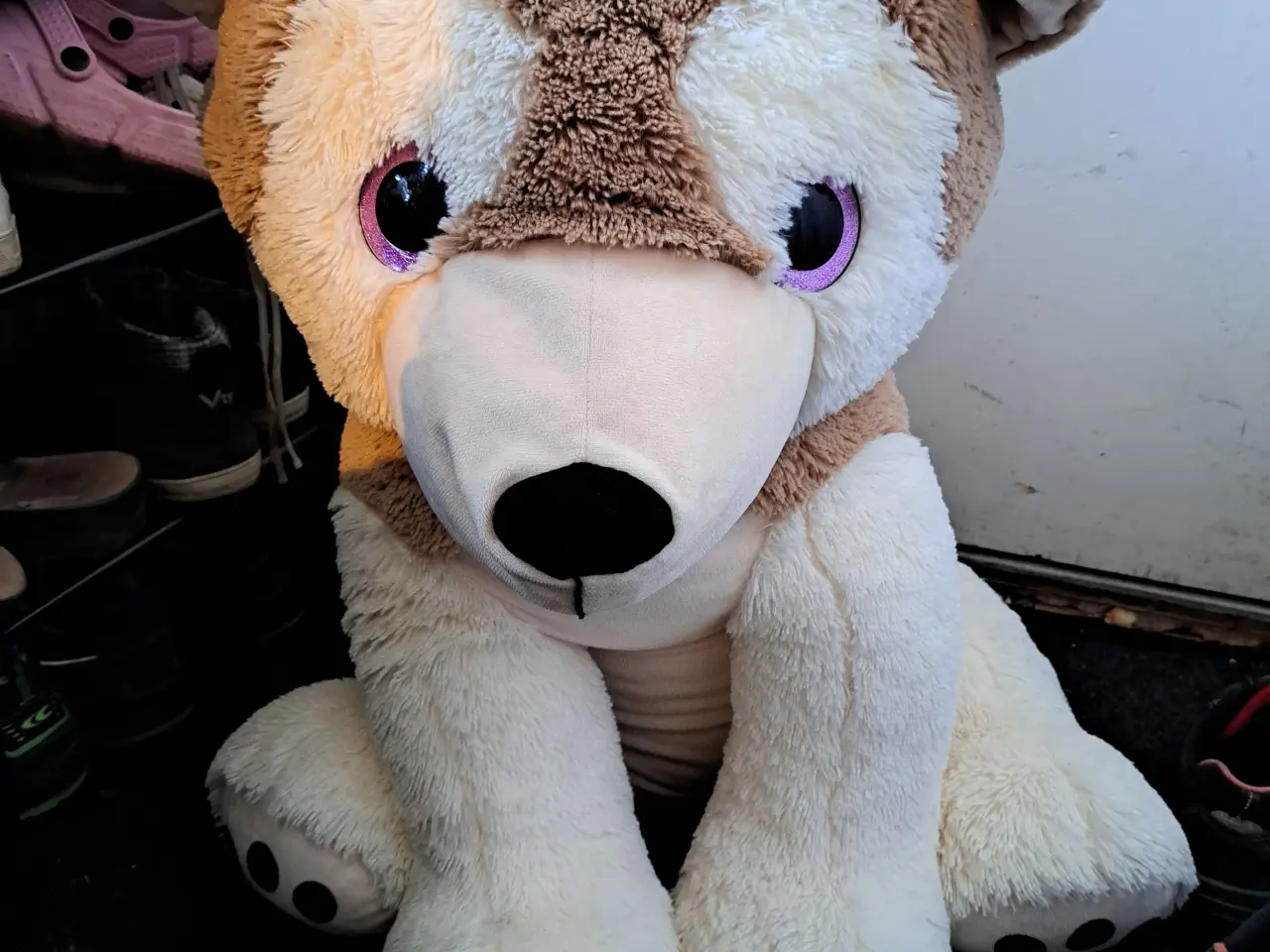 Billede 1 - Stor bamsehund