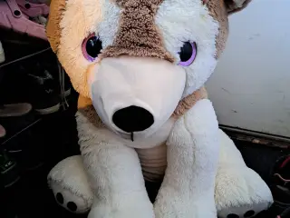 Stor bamsehund